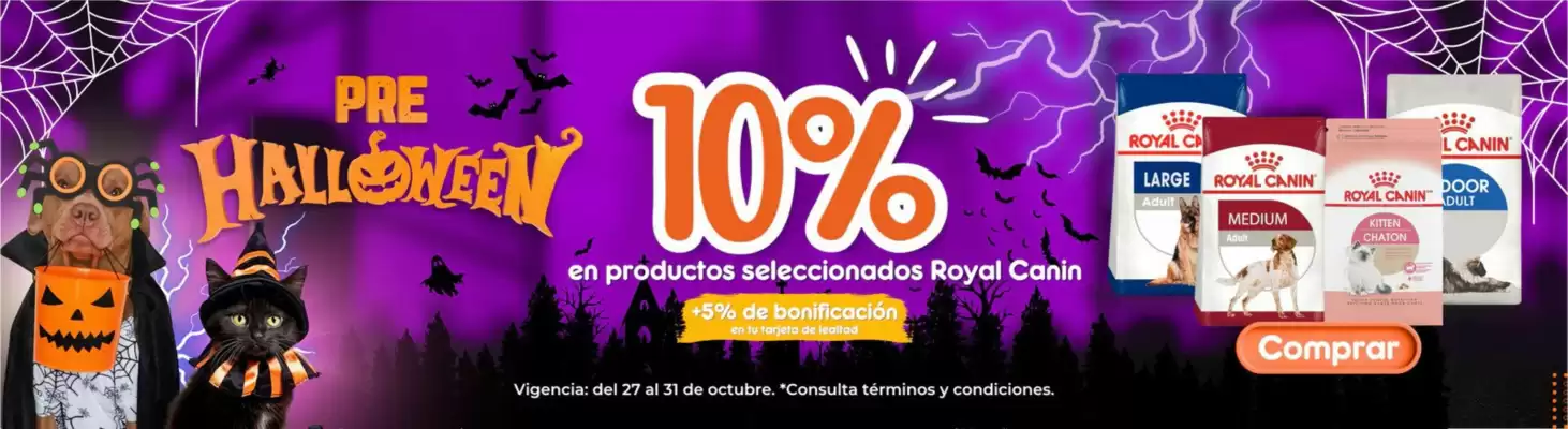 Catálogo Maskota (válido hasta 31-10)