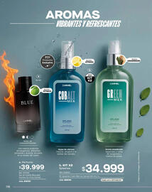 Catálogo Carmel Página 176