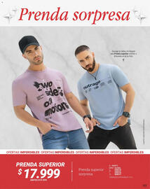 Catálogo Carmel Página 243