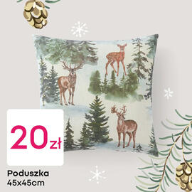 Pepco gazetka tydzień 44 Strona 3