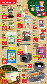 Thomas Philipps Prospekt woche 45 Seite 15