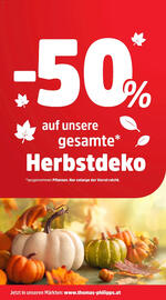 Thomas Philipps Prospekt woche 45 Seite 2