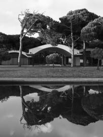 Catálogo Pronovias Página 3