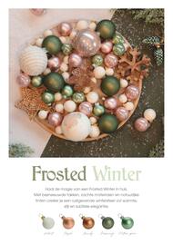 Coppelmans folder Pagina 2