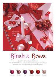 Coppelmans folder Pagina 6