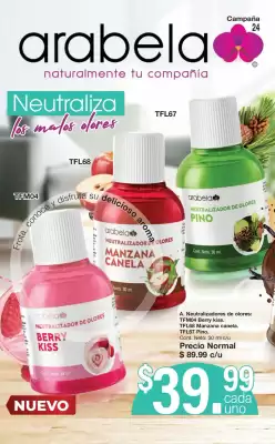 Catálogo Arabela (válido hasta 13-11)