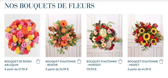 Catalogue Monceau Fleurs page 1