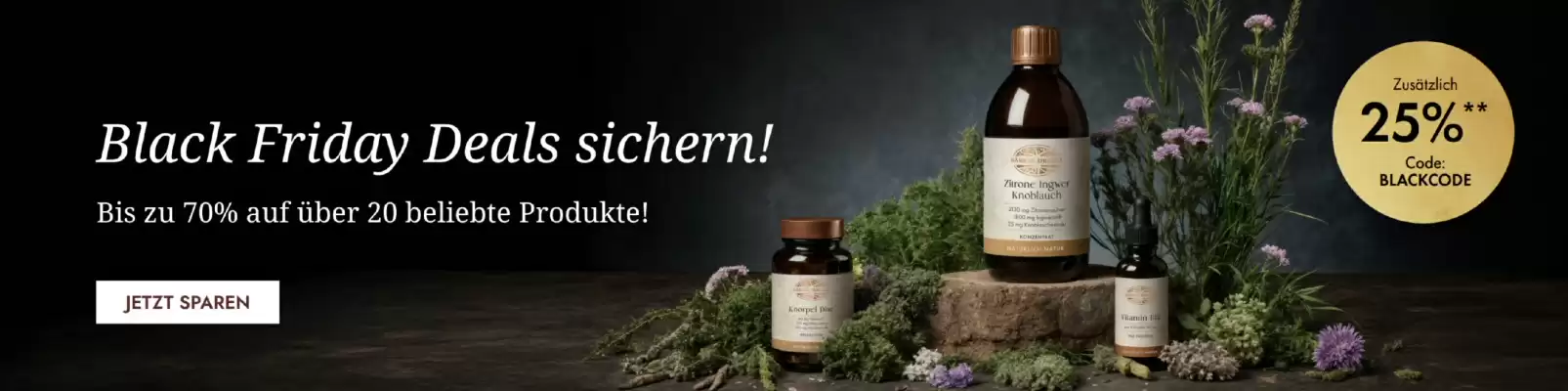 Bärbel Drexel Flugblatt (gültig bis 4-11)