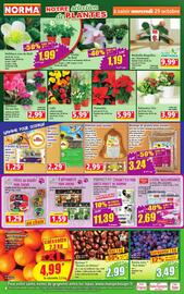 Norma folder week 44 Pagina 4