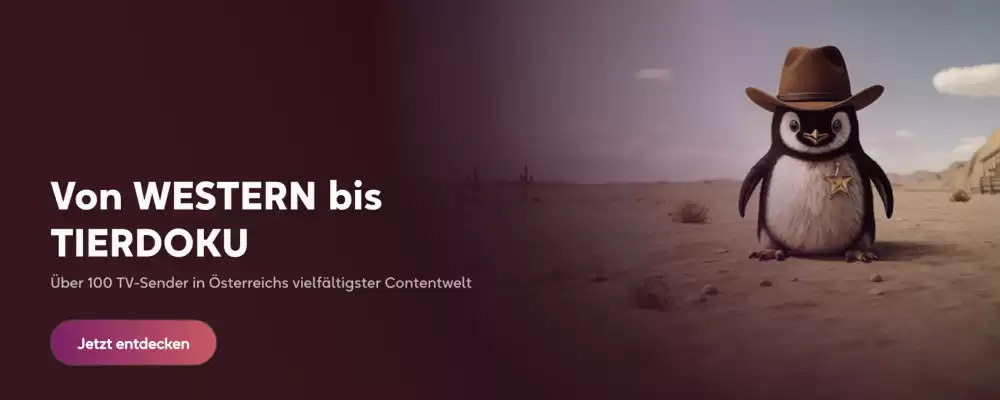 SimpliTV Flugblatt (gültig bis 3-11)