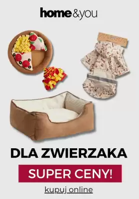 Home&You gazetka (ważność do 6-11)