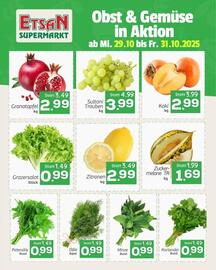 ETSAN Flugblatt Seite 2