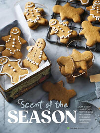 Woolworths catalogue Page 29