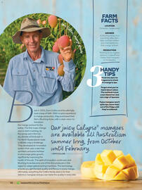 Woolworths catalogue Page 86