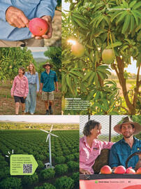 Woolworths catalogue Page 87