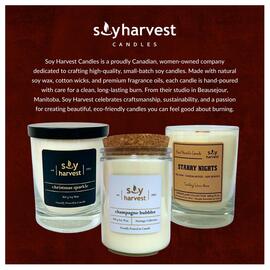 Goodness Me flyer week 44 Page 13