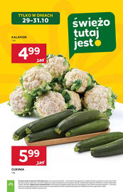 Stokrotka gazetka tydzień 44 Strona 11