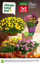 Stokrotka gazetka tydzień 44 Strona 6