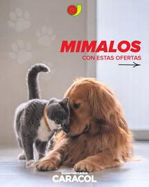 Catálogo Supermercados Caracol Página 1