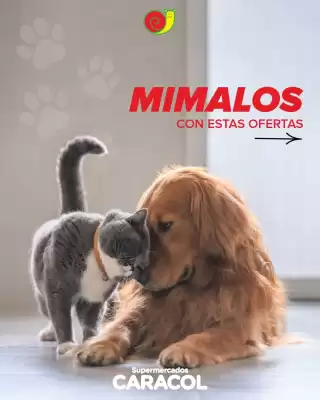 Catálogo Supermercados Caracol (válido hasta 30-10)