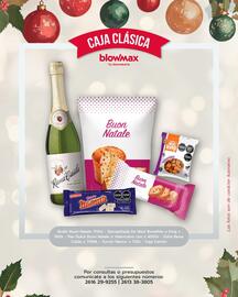 Catálogo Blow Max Página 2