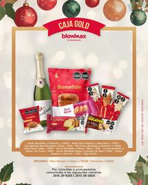 Catálogo Blow Max Página 3