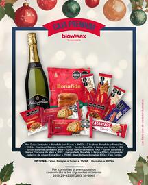 Catálogo Blow Max Página 4