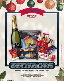 Catálogo Blow Max Página 5