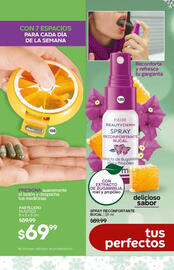 Catálogo Fuller Página 100