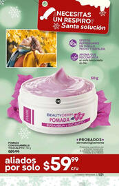 Catálogo Fuller Página 101