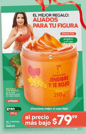 Catálogo Fuller Página 113