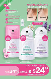 Catálogo Fuller Página 116