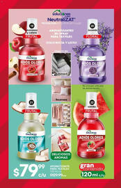 Catálogo Fuller Página 12