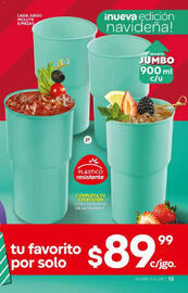 Catálogo Fuller Página 15