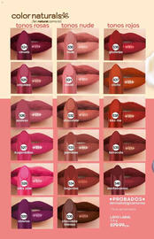 Catálogo Fuller Página 176