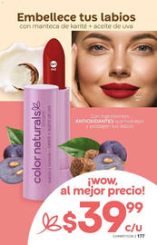 Catálogo Fuller Página 177