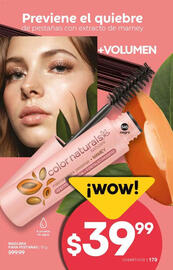 Catálogo Fuller Página 179