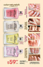 Catálogo Fuller Página 182