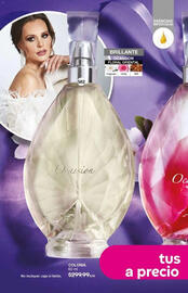 Catálogo Fuller Página 194