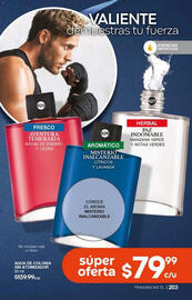 Catálogo Fuller Página 203