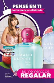 Catálogo Fuller Página 208