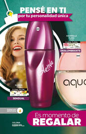 Catálogo Fuller Página 212