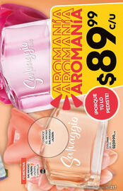 Catálogo Fuller Página 217