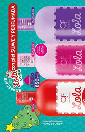 Catálogo Fuller Página 220