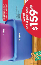 Catálogo Fuller Página 33