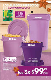 Catálogo Fuller Página 39