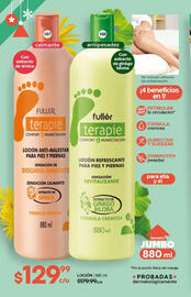 Catálogo Fuller Página 88