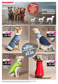 Woolworth gazetka Strona 15