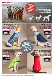 Woolworth gazetka Strona 15