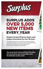 Princess Auto flyer week 44 Page 111